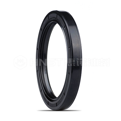 臺(tái)灣TC骨架油封 